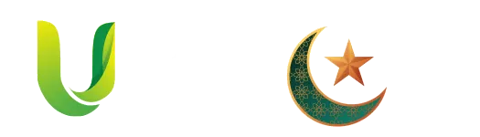 Logo Visa